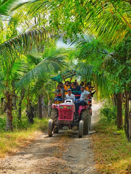 Tractor Ride